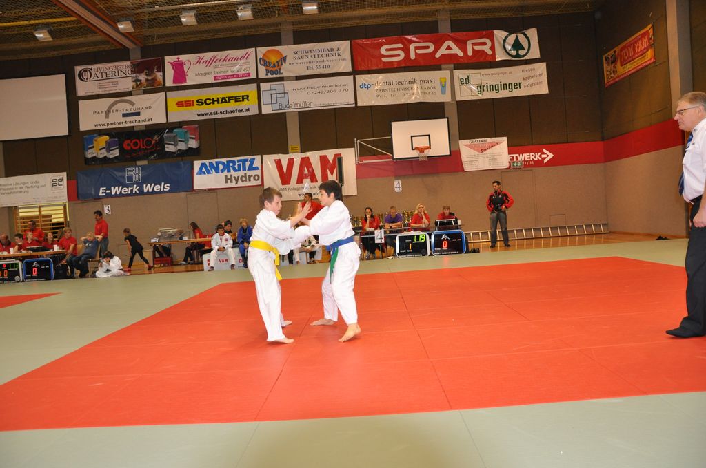 Wels_2009.JPG