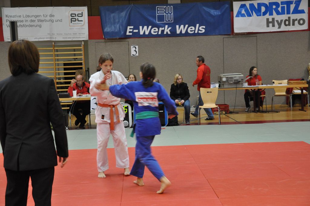 Wels_2009_04.JPG