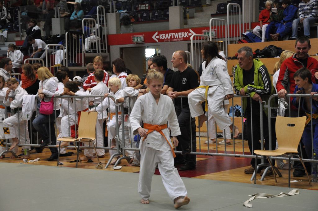 Wels_2009_07.JPG