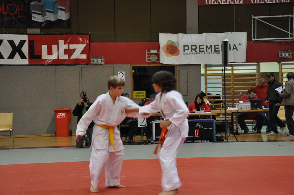 Wels_2009_08.JPG