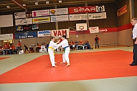 Wels_2009.JPG
