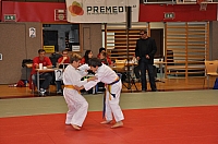 Wels_2009_02.JPG