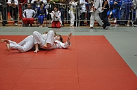 Wels_2009_06.JPG