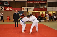 Wels_2009_11.JPG