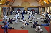Thumbnail of Aigen_2012_8.jpg.JPG
