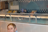 Vanocni. Rohrbach_32.JPG Vanocni. Rohrbach_32.JPG