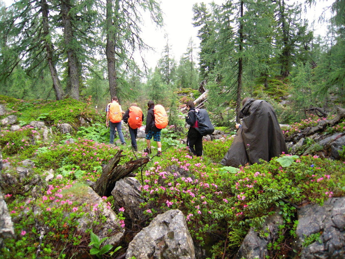 hory2012__09.JPG