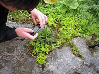 hory2012__07.JPG