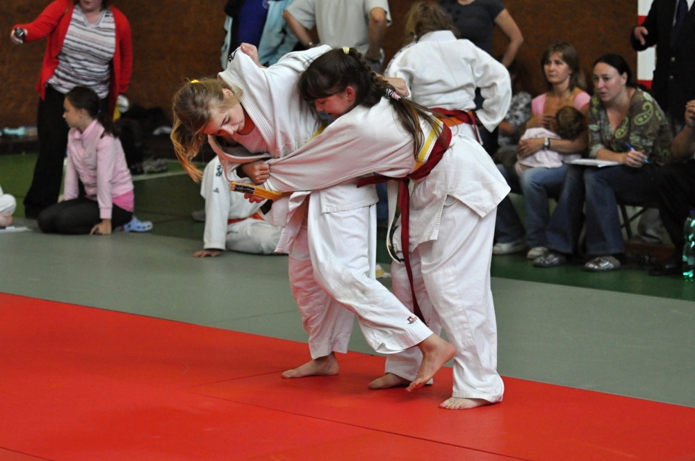 Prachatice_9_2012_18_.JPG.JPG