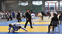 Erfurt_2013_2.JPG