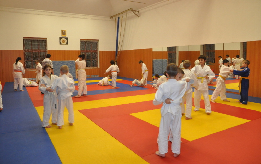 Randori TYN 2013_02.jpg