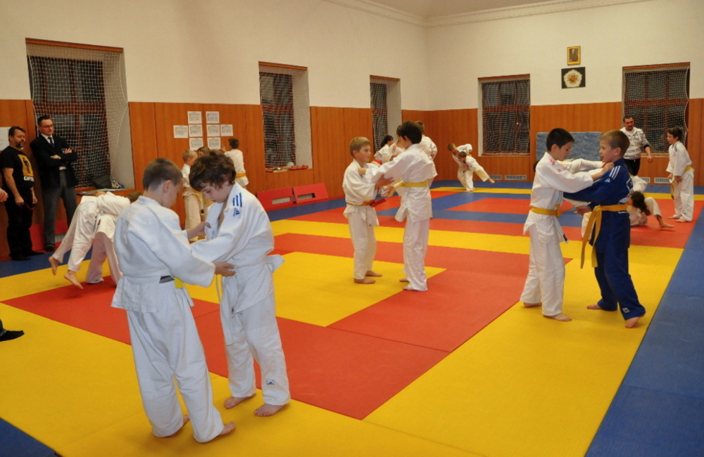 Randori TYN 2013_03.jpg