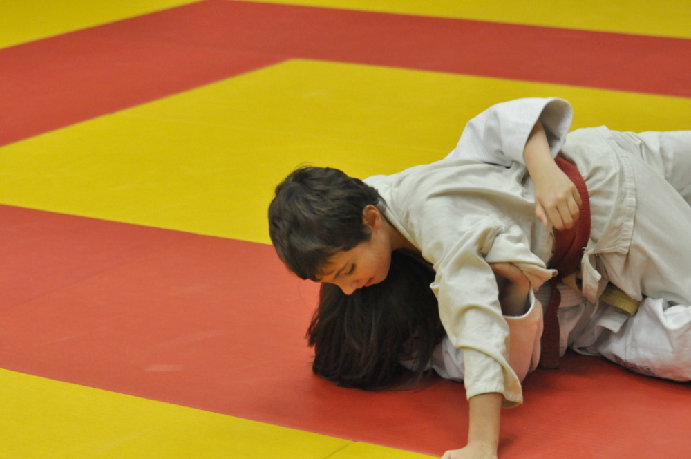 Randori TYN 2013_11.jpg