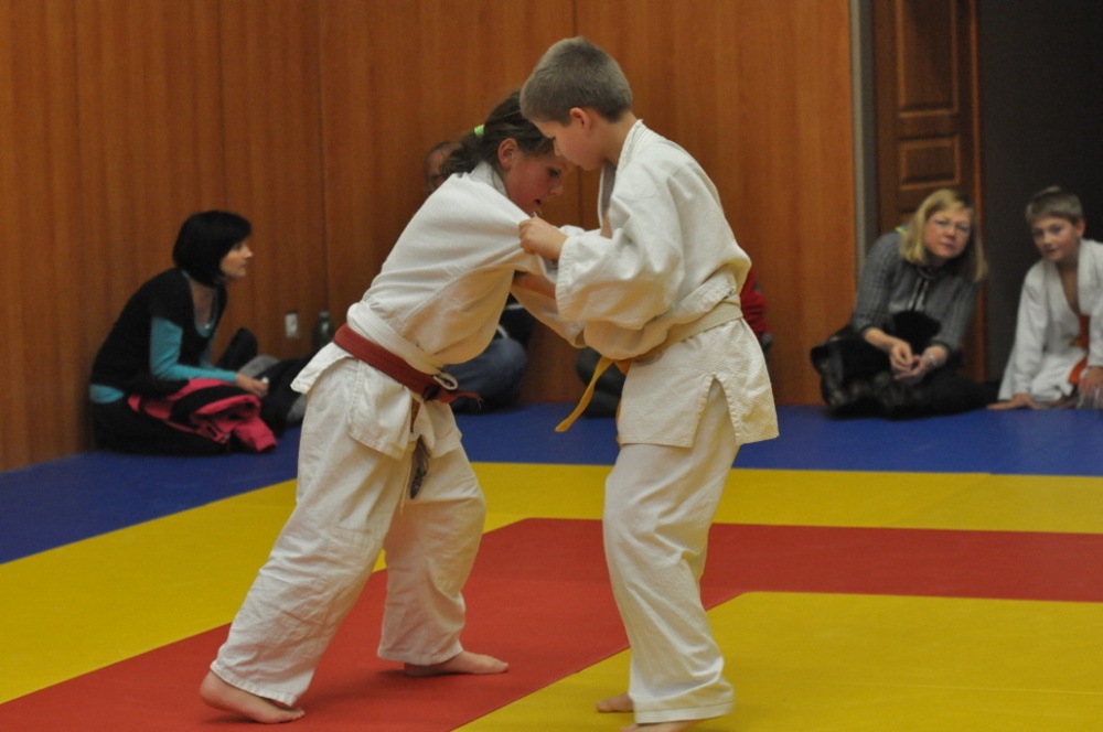 Randori TYN 2013_12.jpg
