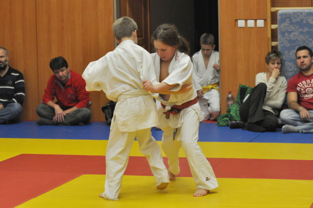Randori TYN 2013_13.jpg