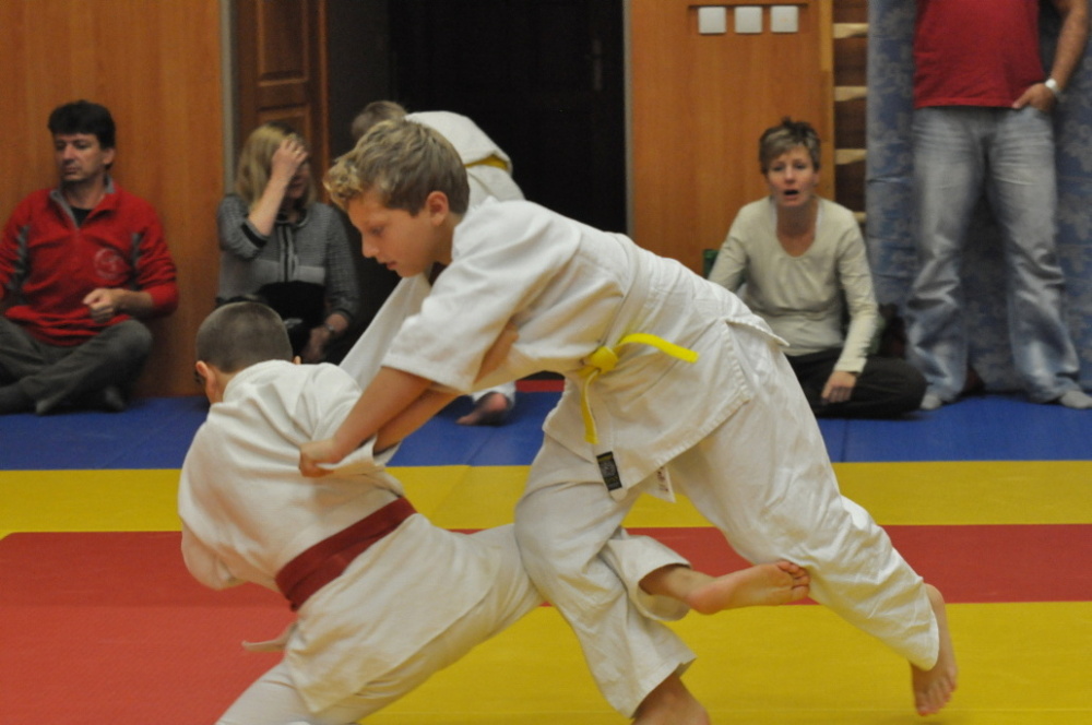 Randori TYN 2013_15.jpg