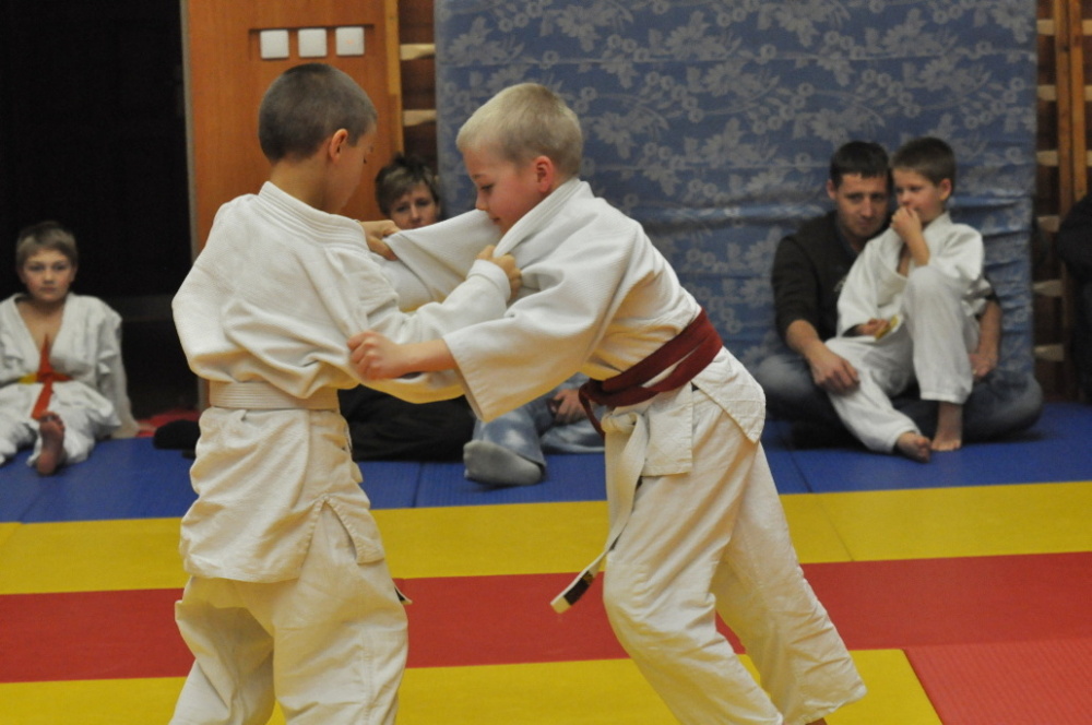 Randori TYN 2013_17.jpg