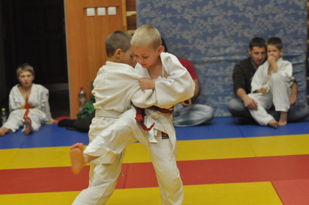 Randori TYN 2013_18.jpg
