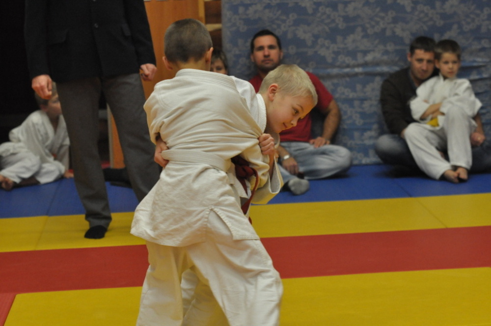 Randori TYN 2013_20.jpg