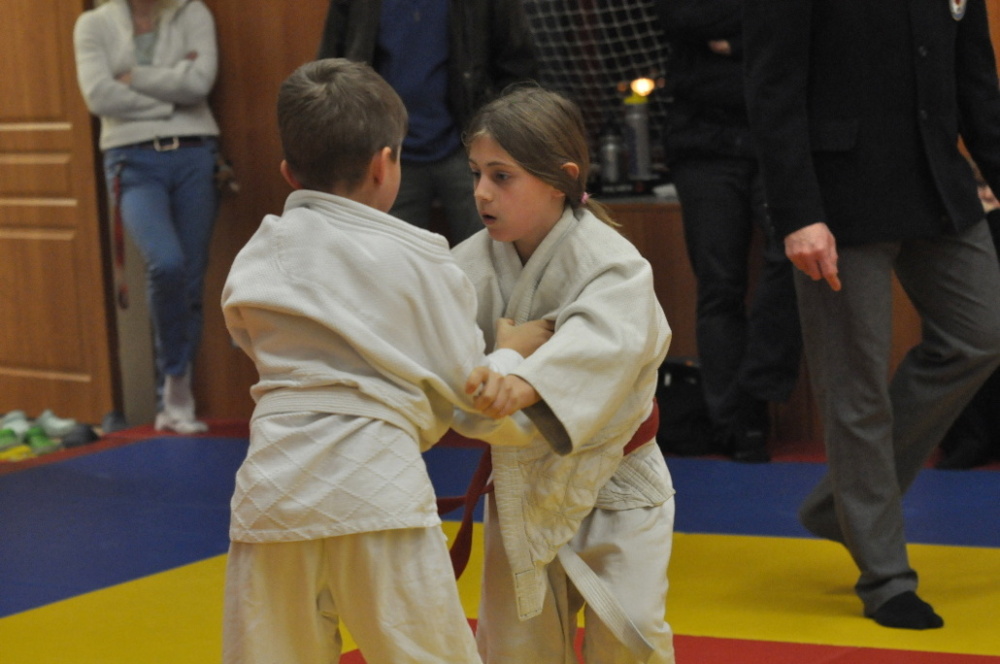 Randori TYN 2013_21.jpg