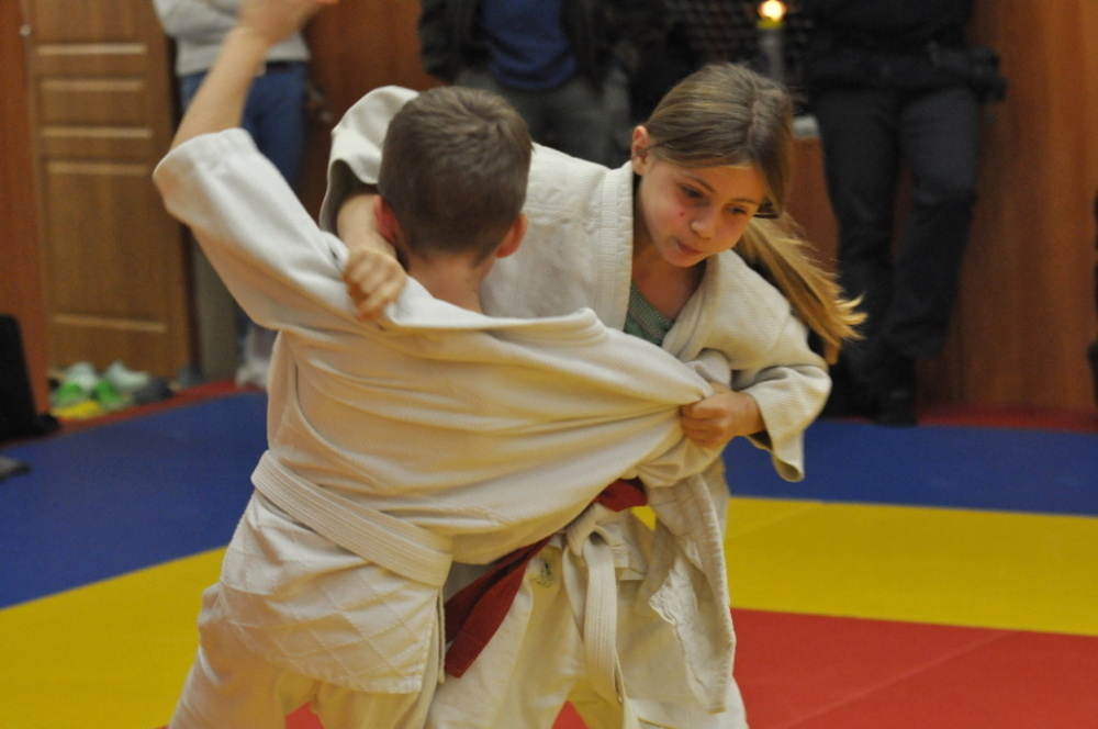 Randori TYN 2013_22.jpg