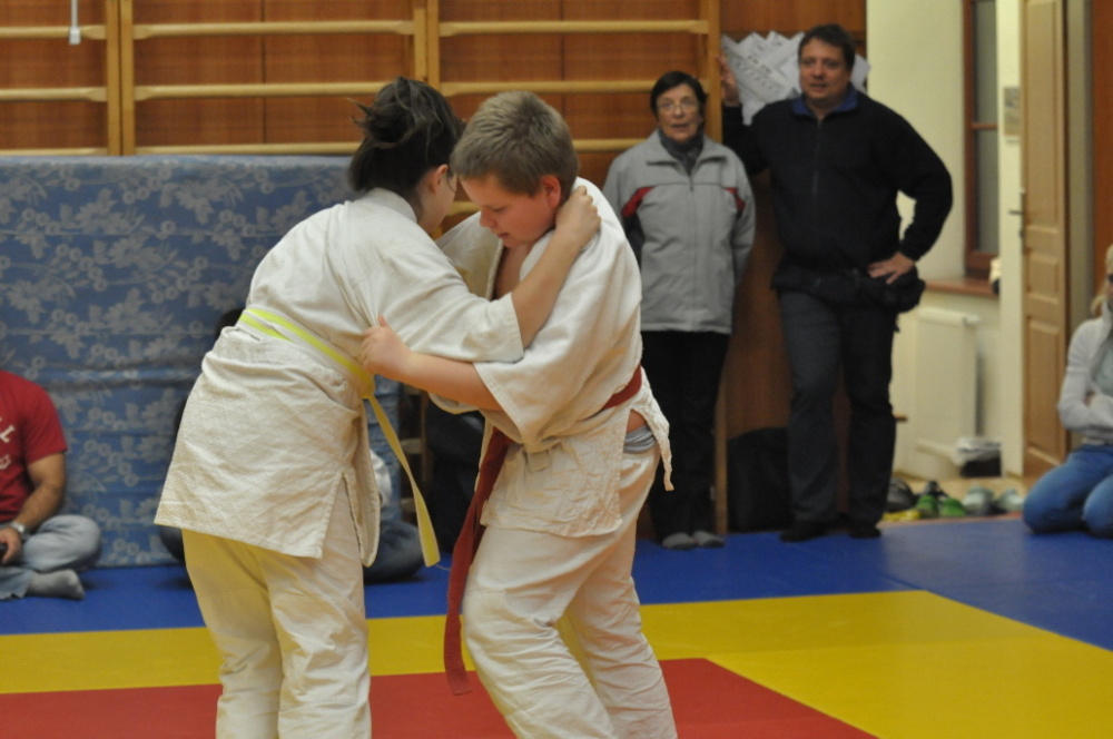 Randori TYN 2013_24.jpg