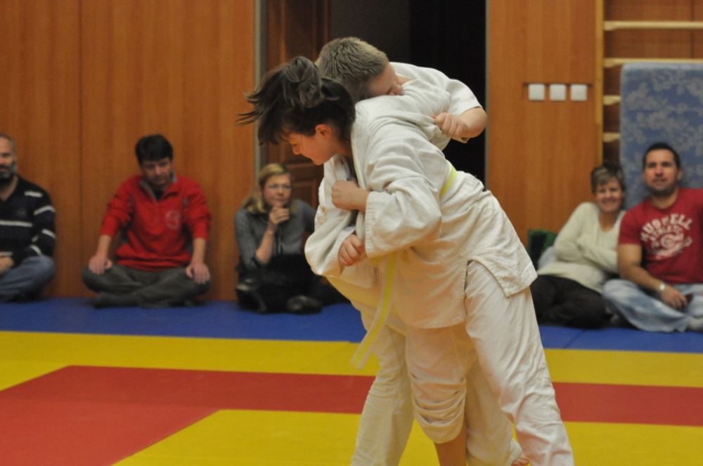 Randori TYN 2013_27.jpg