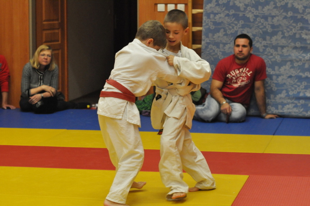 Randori TYN 2013_32.jpg