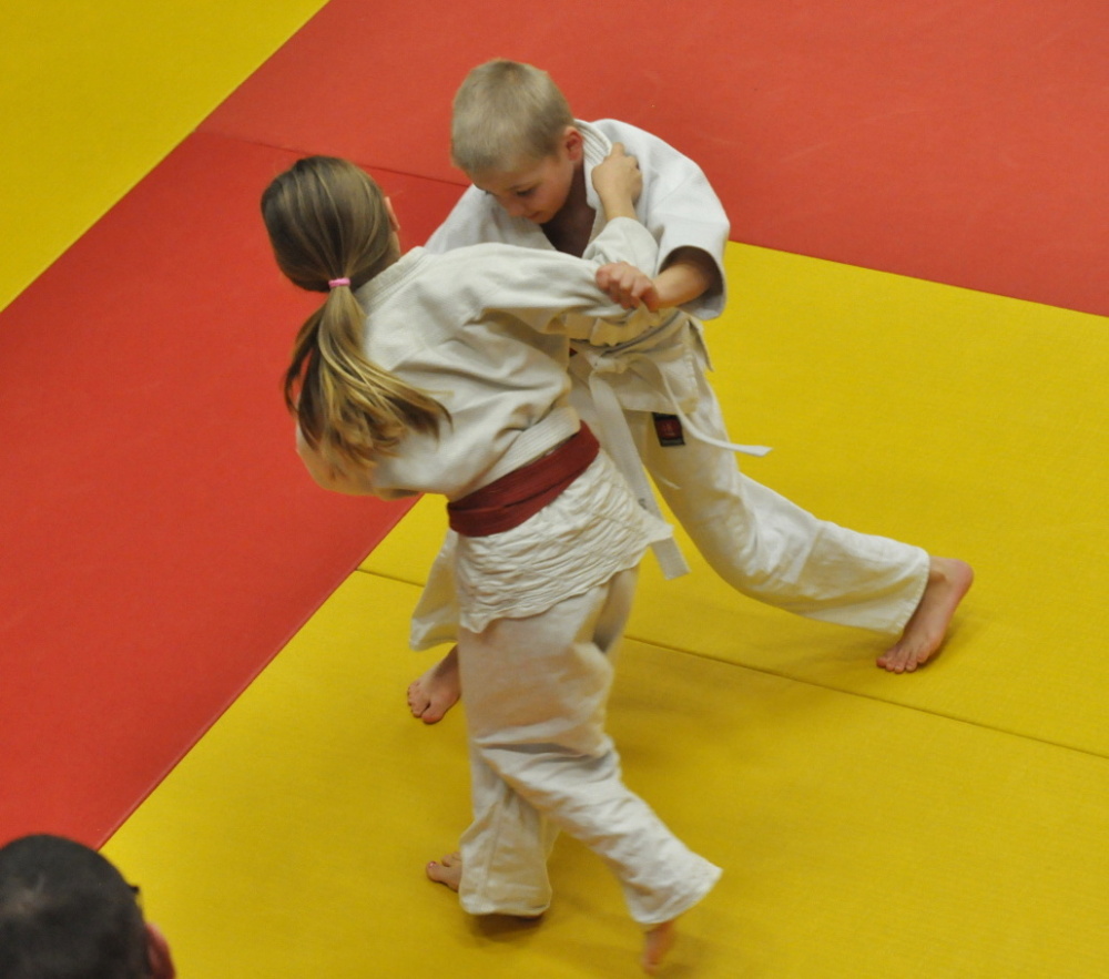 Randori TYN 2013_33.jpg