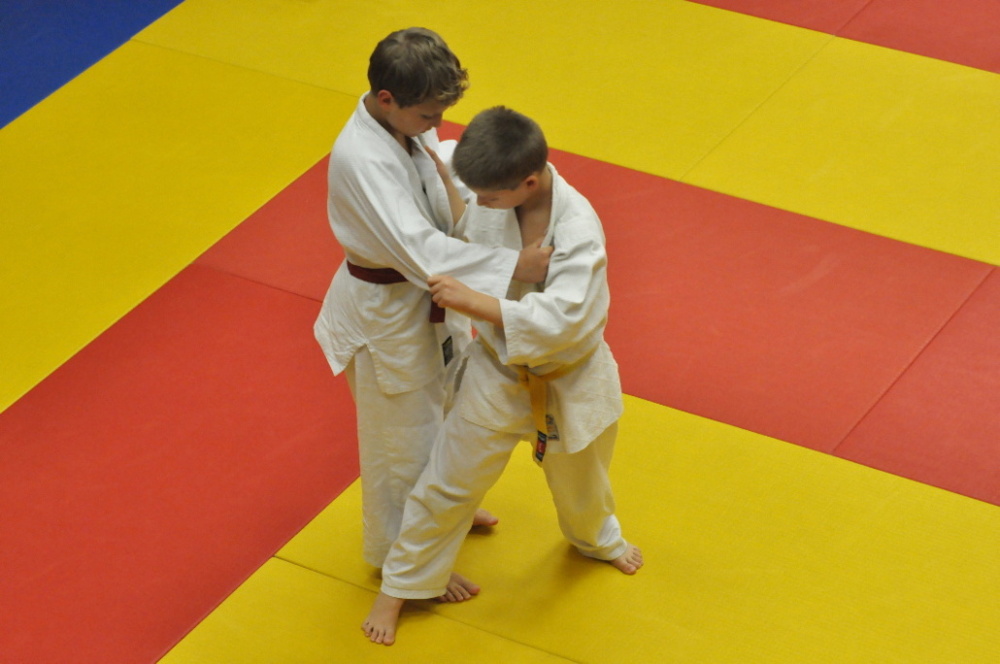 Randori TYN 2013_34.jpg