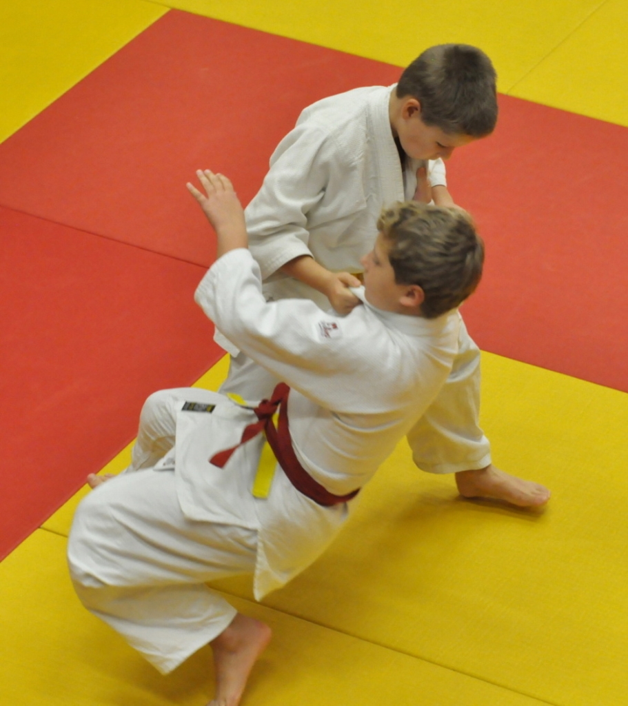 Randori TYN 2013_35.jpg