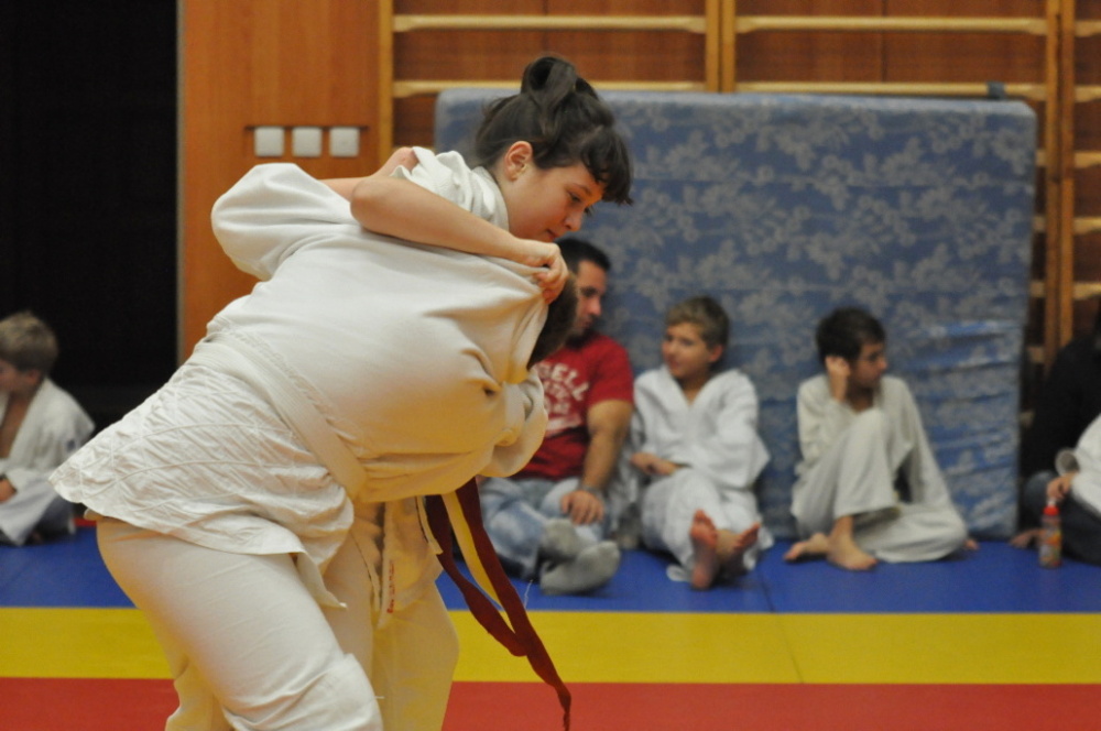 Randori TYN 2013_39.jpg