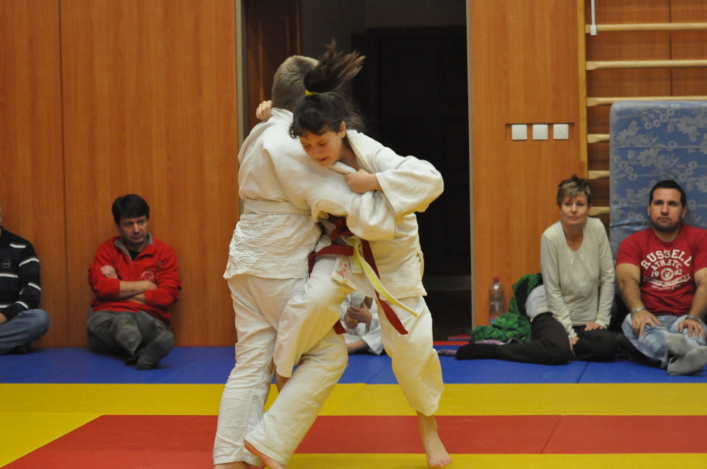 Randori TYN 2013_40.jpg