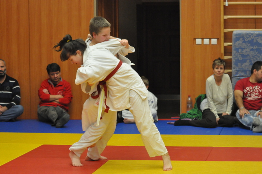 Randori TYN 2013_41.jpg