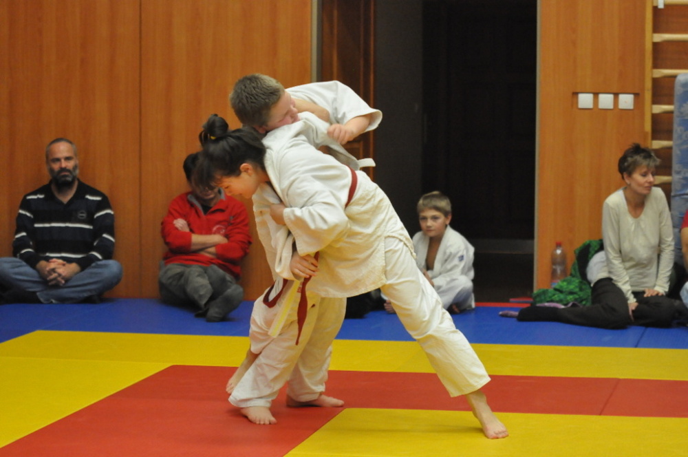 Randori TYN 2013_42.jpg