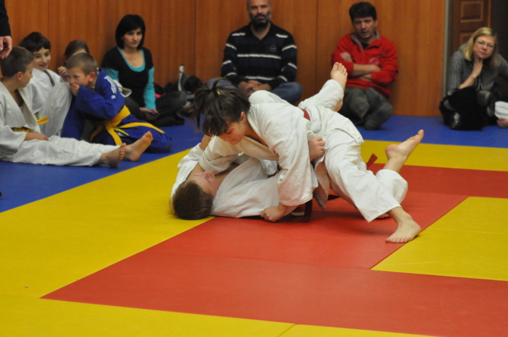 Randori TYN 2013_44.jpg