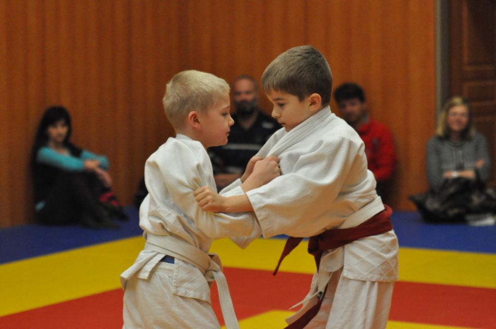 Randori TYN 2013_51.jpg