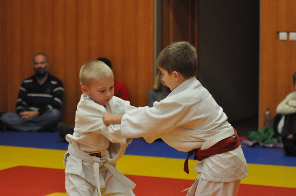 Randori TYN 2013_52.jpg