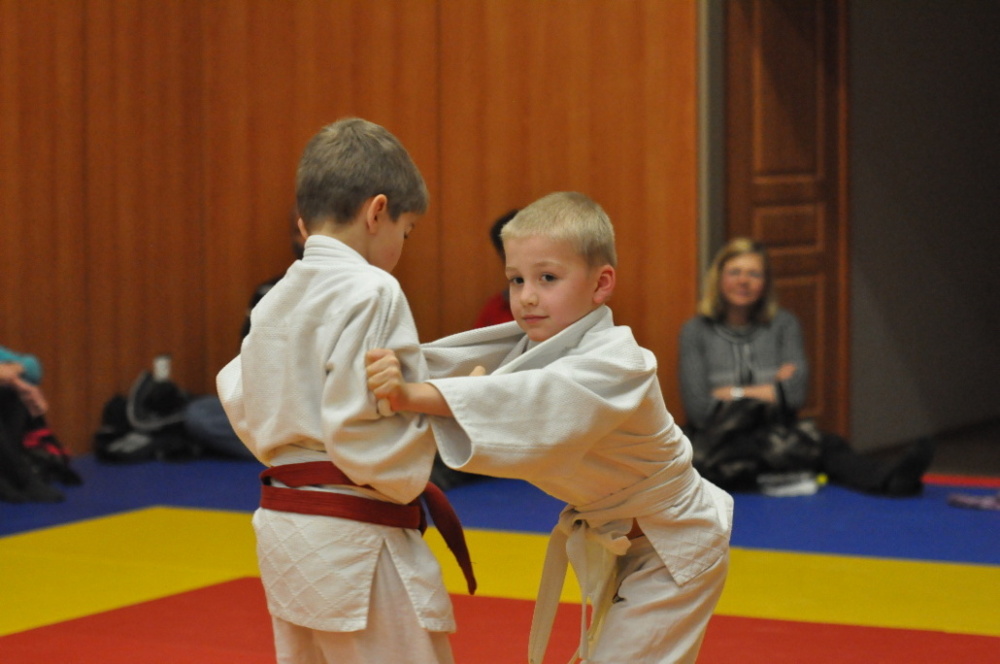 Randori TYN 2013_53.jpg