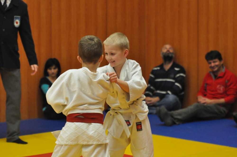 Randori TYN 2013_54.jpg