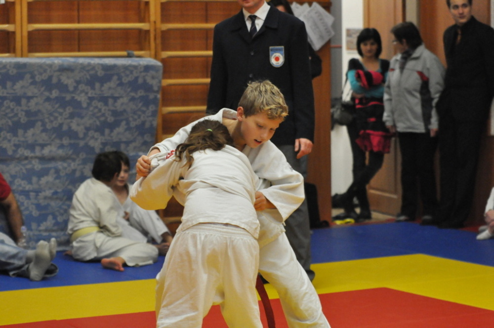 Randori TYN 2013_61.jpg