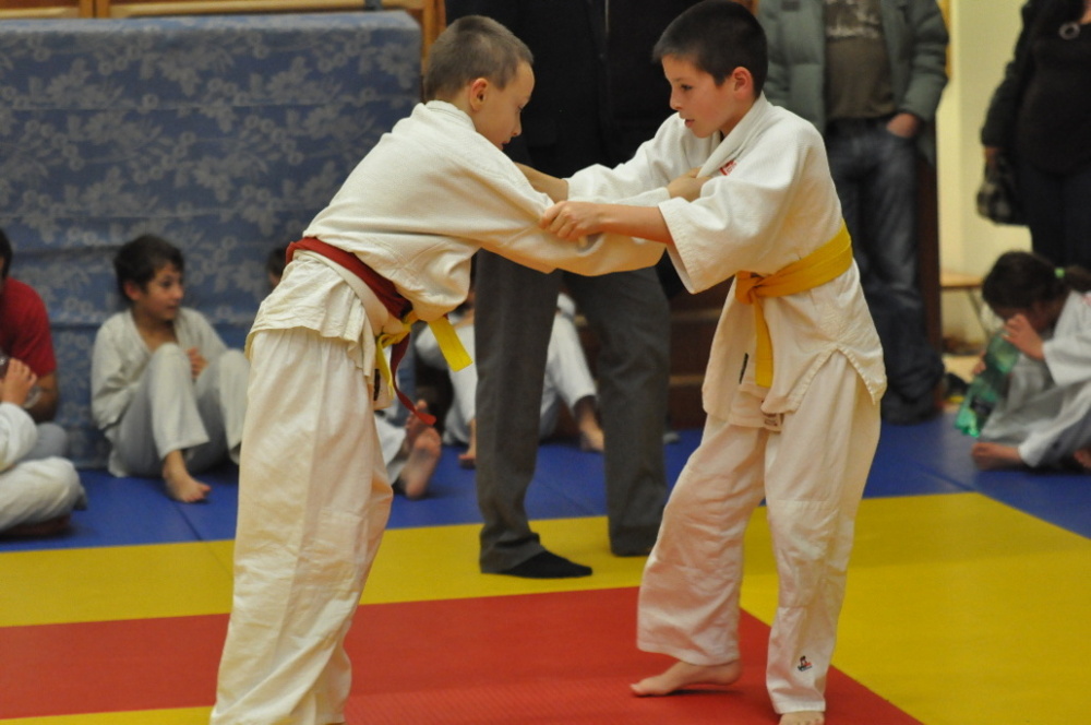 Randori TYN 2013_63.jpg