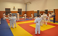 Randori TYN 2013_02.jpg