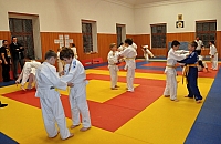Randori TYN 2013_03.jpg