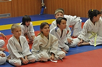 Randori TYN 2013_07.jpg