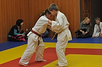 Randori TYN 2013_12.jpg