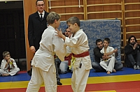 Randori TYN 2013_16.jpg