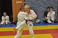 Randori TYN 2013_18.jpg