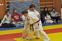 Randori TYN 2013_37.jpg