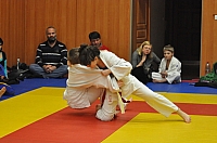 Randori TYN 2013_43.jpg